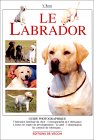 Guide du labrador : Le labrador